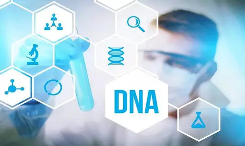 海东可以做DNA鉴定吗,海东亲子鉴定办理方式