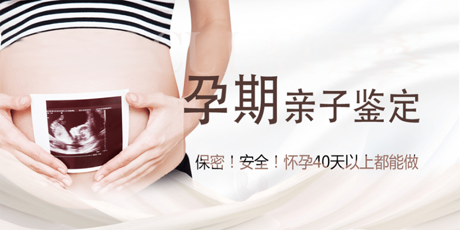 海东父亲和肚中宝宝如何办理亲子鉴定,海东孕期亲子鉴定结果到底准不准确