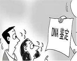 海东DNA亲子鉴定大概需要多少钱，海东个人亲子鉴定流程是什么